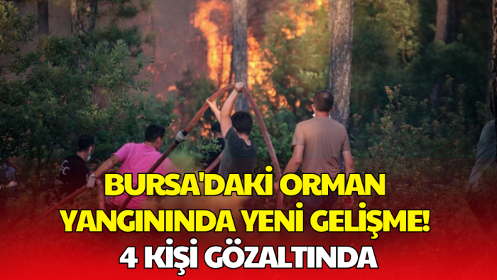 Bursa'da Orman Yangınlarını Havai Fişekle Başlattılar: 4 Kişi Gözaltında